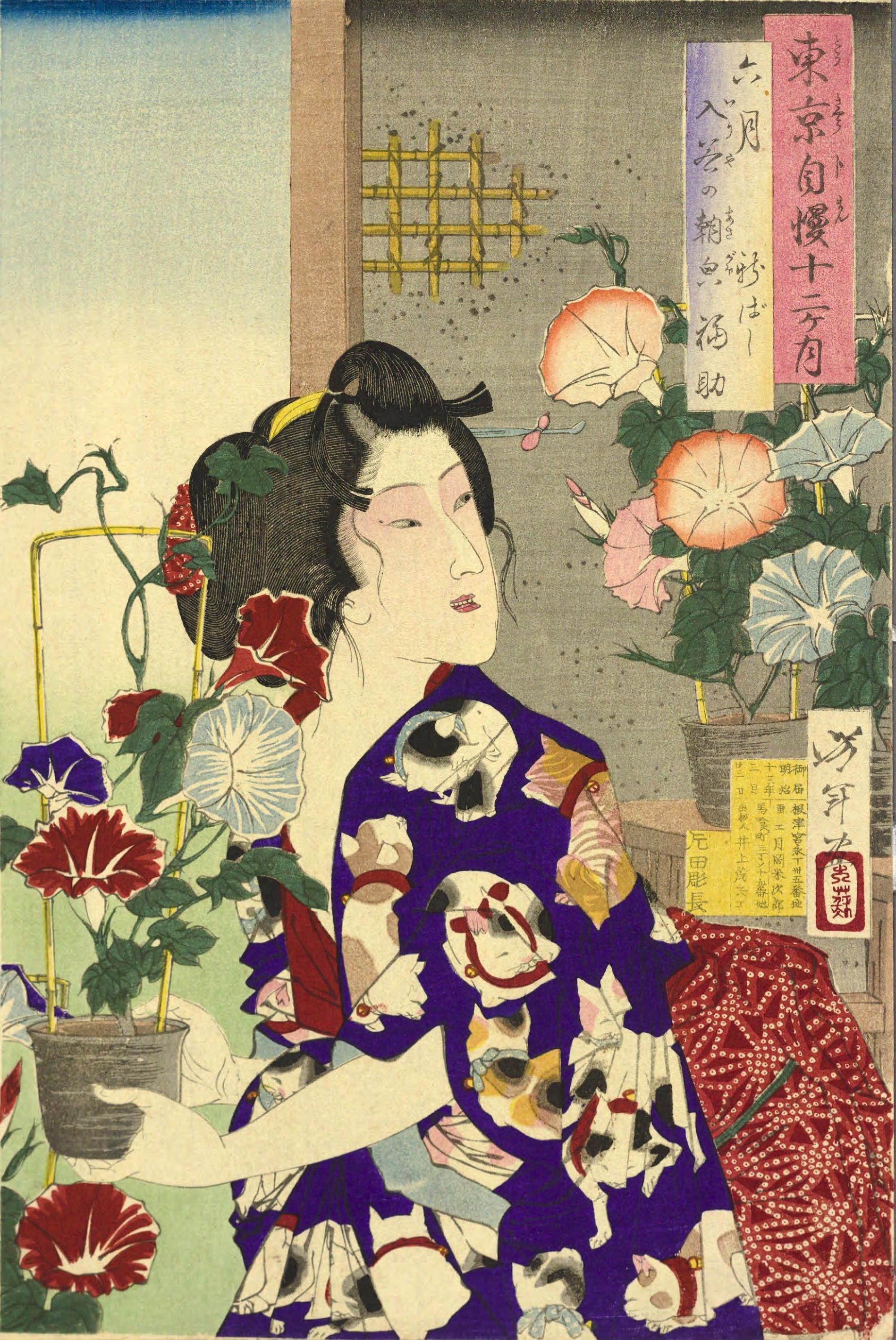 月岡芳年作『東京自慢十二ヶ月』六月 入谷の朝顔