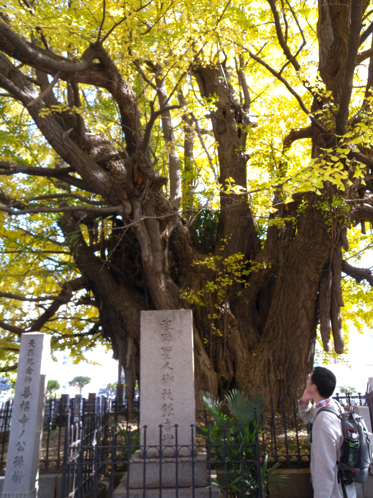 善福寺