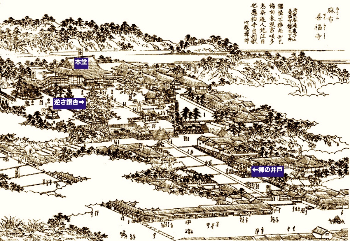 善福寺
