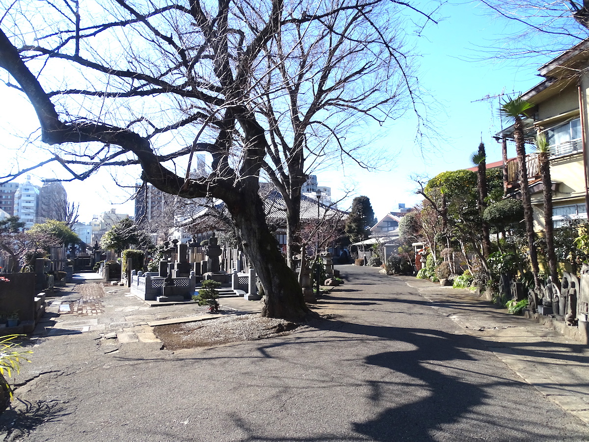 蓮光寺