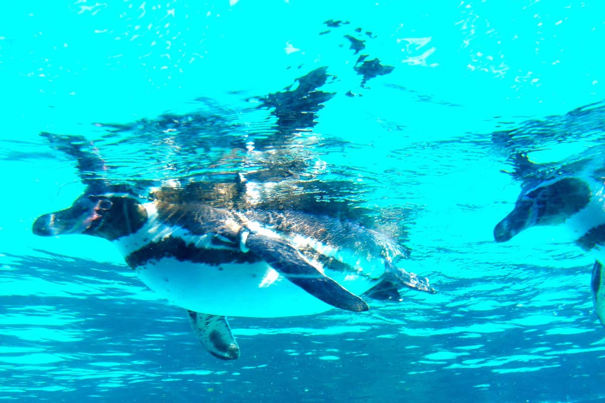 葛西臨海水族園