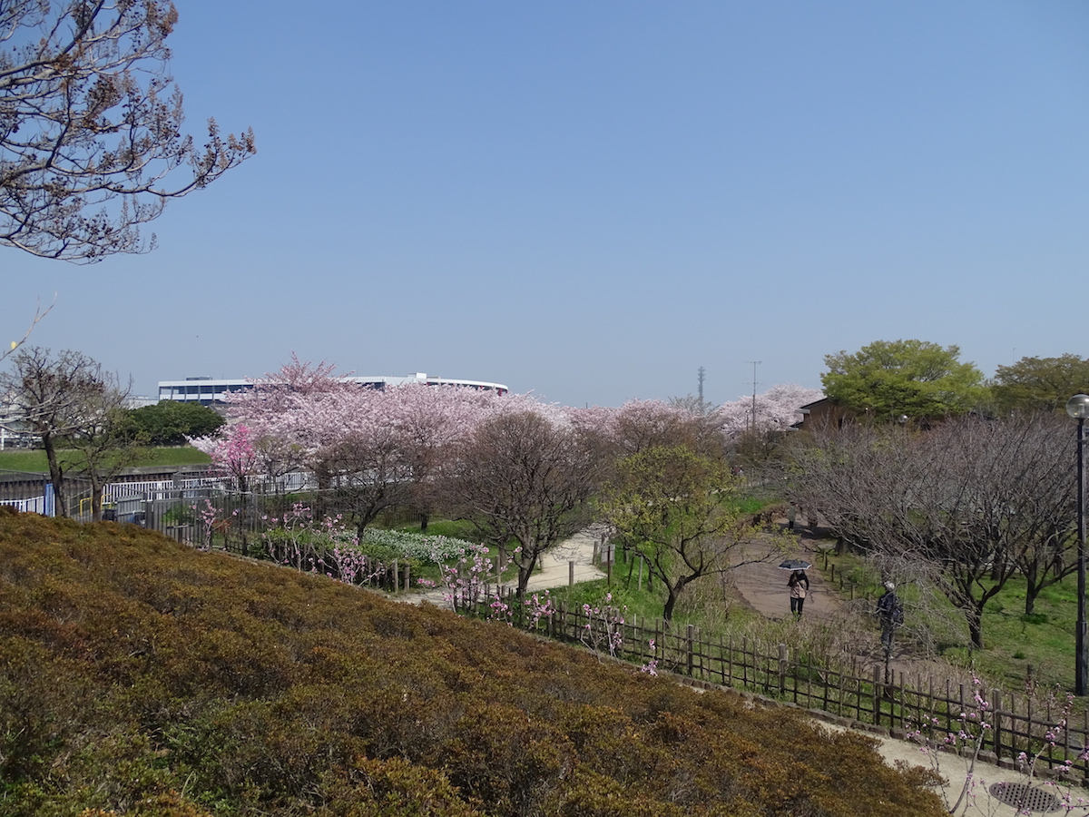 都市農業公園