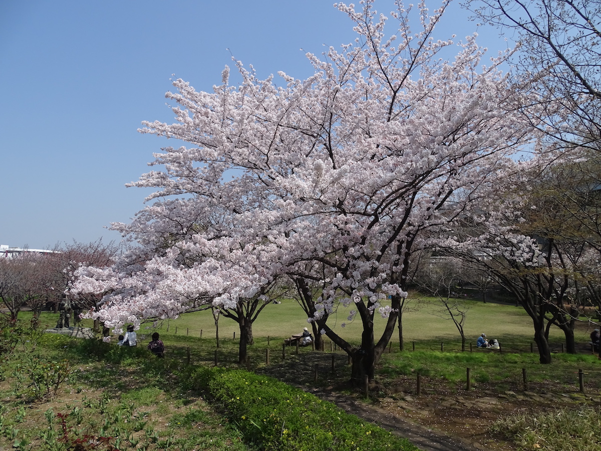 都市農業公園