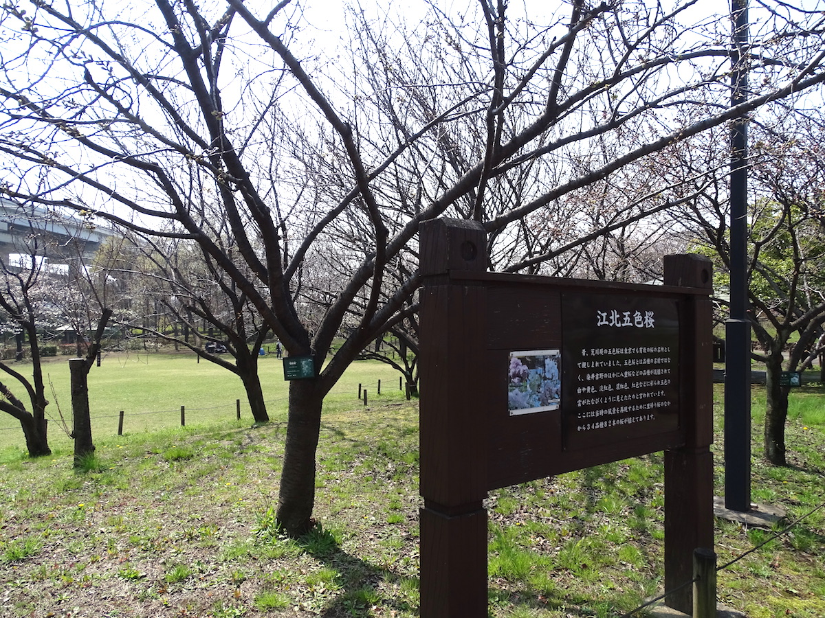 都市農業公園