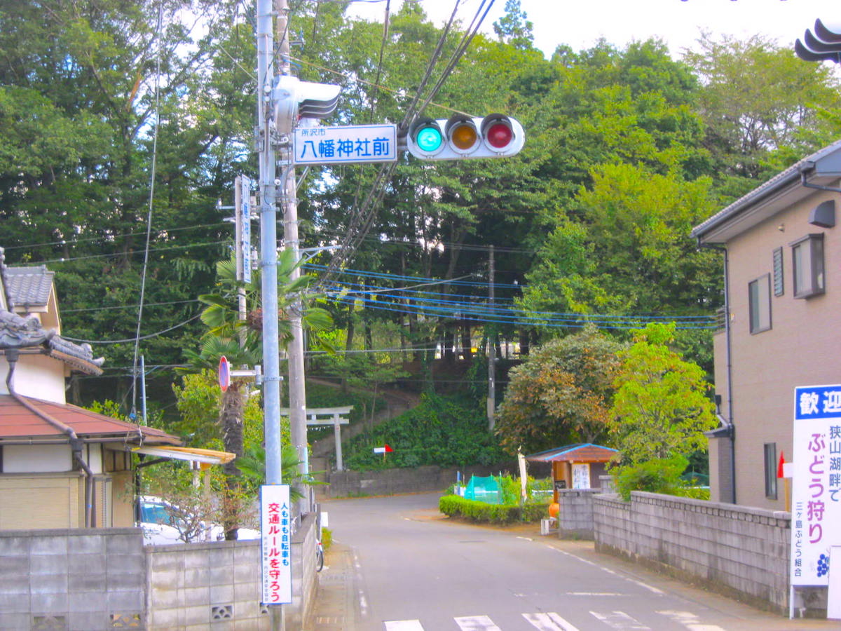 トトロの森 狭山丘陵