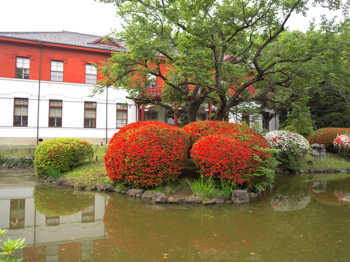 小石川植物園