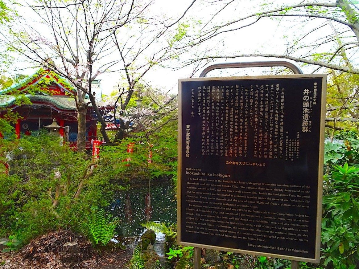 井の頭弁財天の横には井の頭池遺跡群