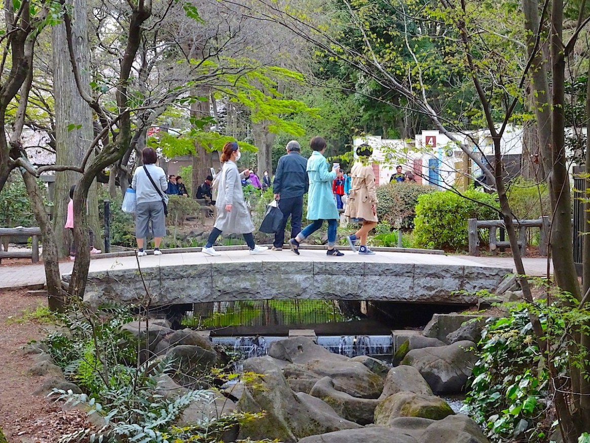 井の頭池