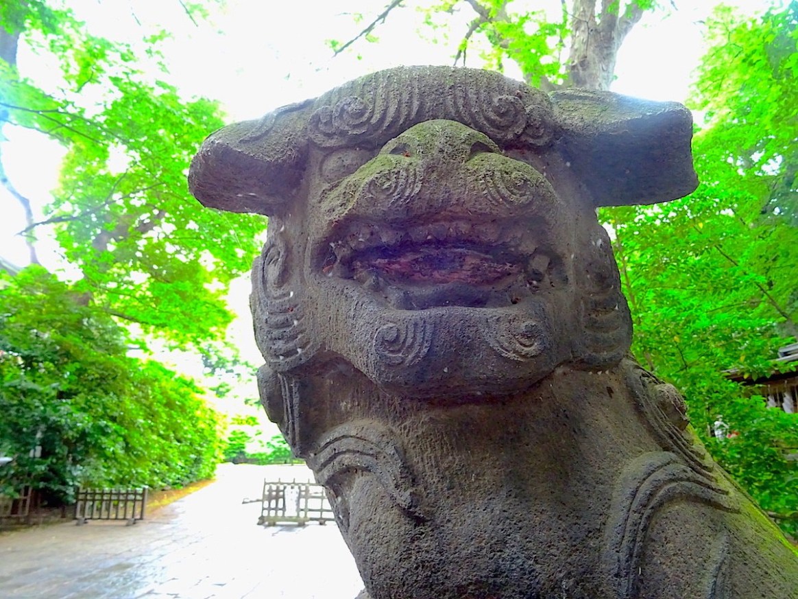 武蔵野八幡宮の狛犬