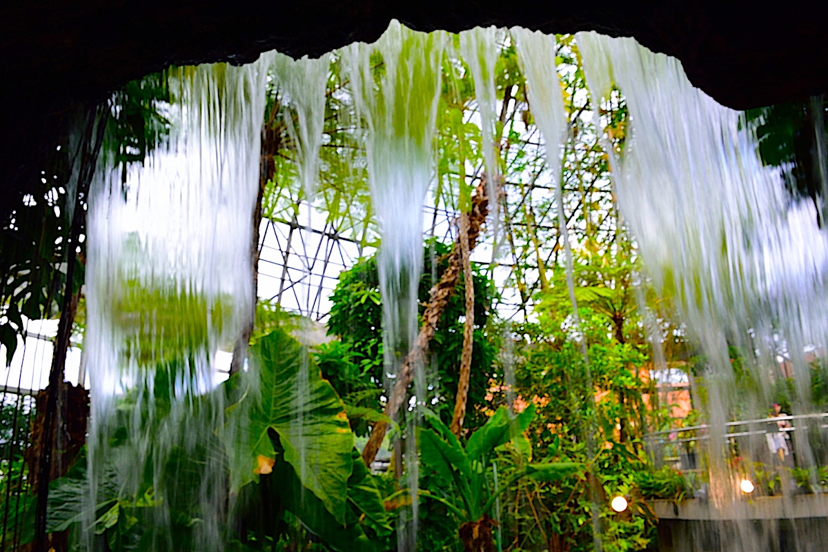 夢の島 熱帯 植物 館