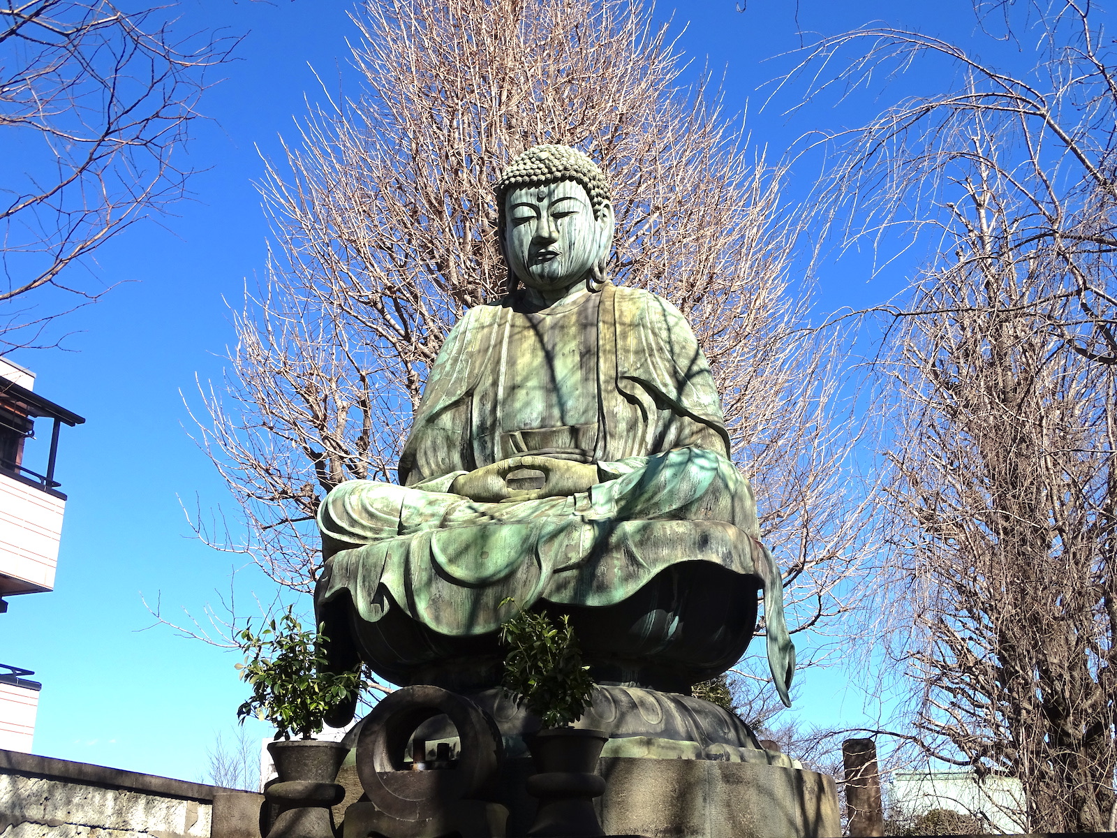 吉祥寺大仏 東京とりっぷ