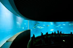 葛西臨海水族園