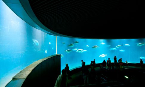 葛西臨海水族園