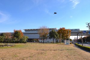 日暮里・舎人ライナー 舎人公園駅