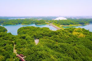 村山貯水池（多摩湖）