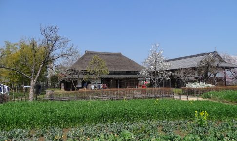 都市農業公園