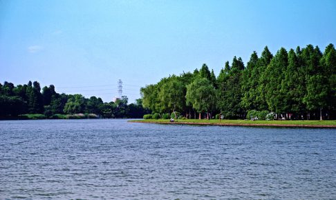 水元公園