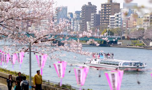 墨堤さくらまつり