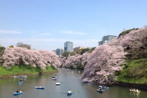 千代田のさくらまつり