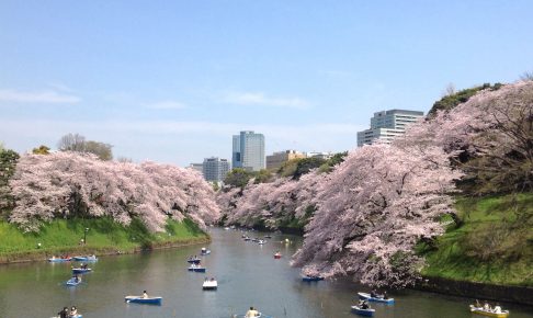 千代田のさくらまつり