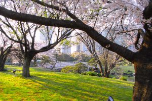 浜離宮恩賜庭園