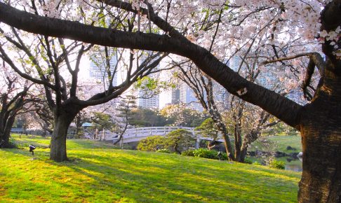 浜離宮恩賜庭園