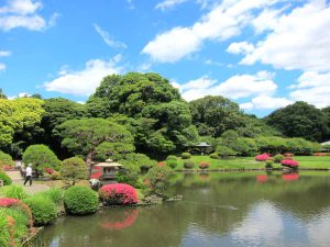 新宿御苑『春の特別開園』