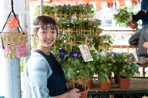 入谷朝顔まつり（朝顔市）