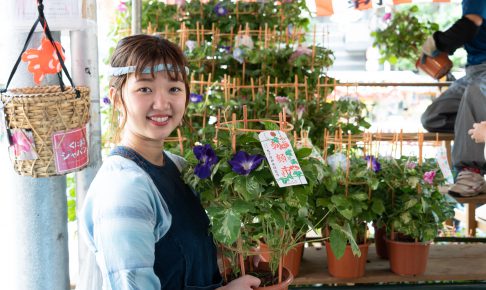 入谷朝顔まつり（朝顔市）