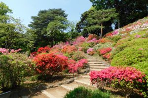 初夏の六義園