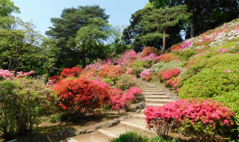 初夏の六義園