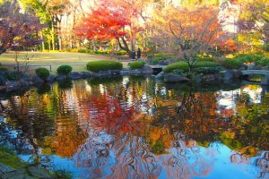 大田黒公園