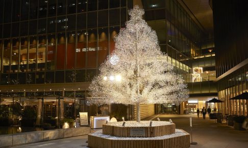 東京ガーデンテラス紀尾井町 KIOI CRYSTAL WINTER