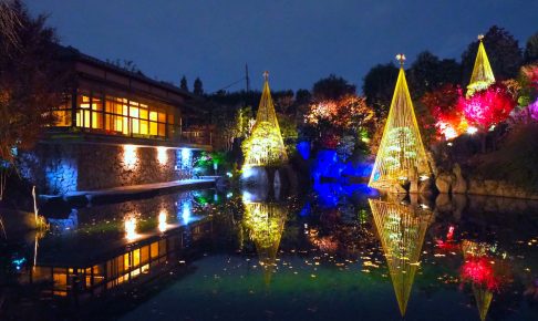 目白庭園『秋の庭園ライトアップ』