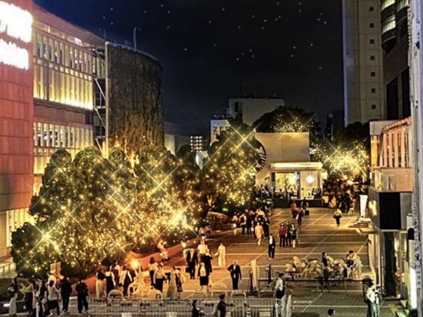 新宿ミナミルミ