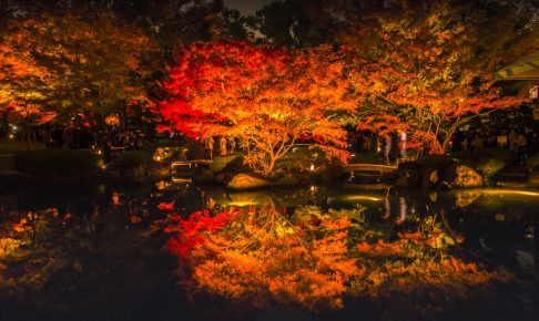 大田黒公園『紅葉ライトアップ』