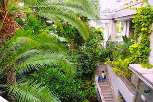 板橋区立熱帯環境植物館