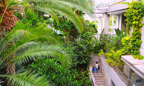 板橋区立熱帯環境植物館