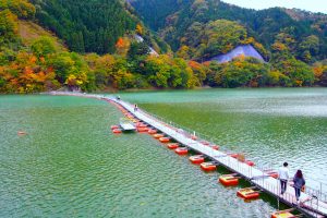 奥多摩湖・麦山の浮橋（ドラム缶橋）