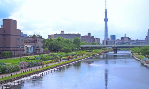 旧中川水辺公園