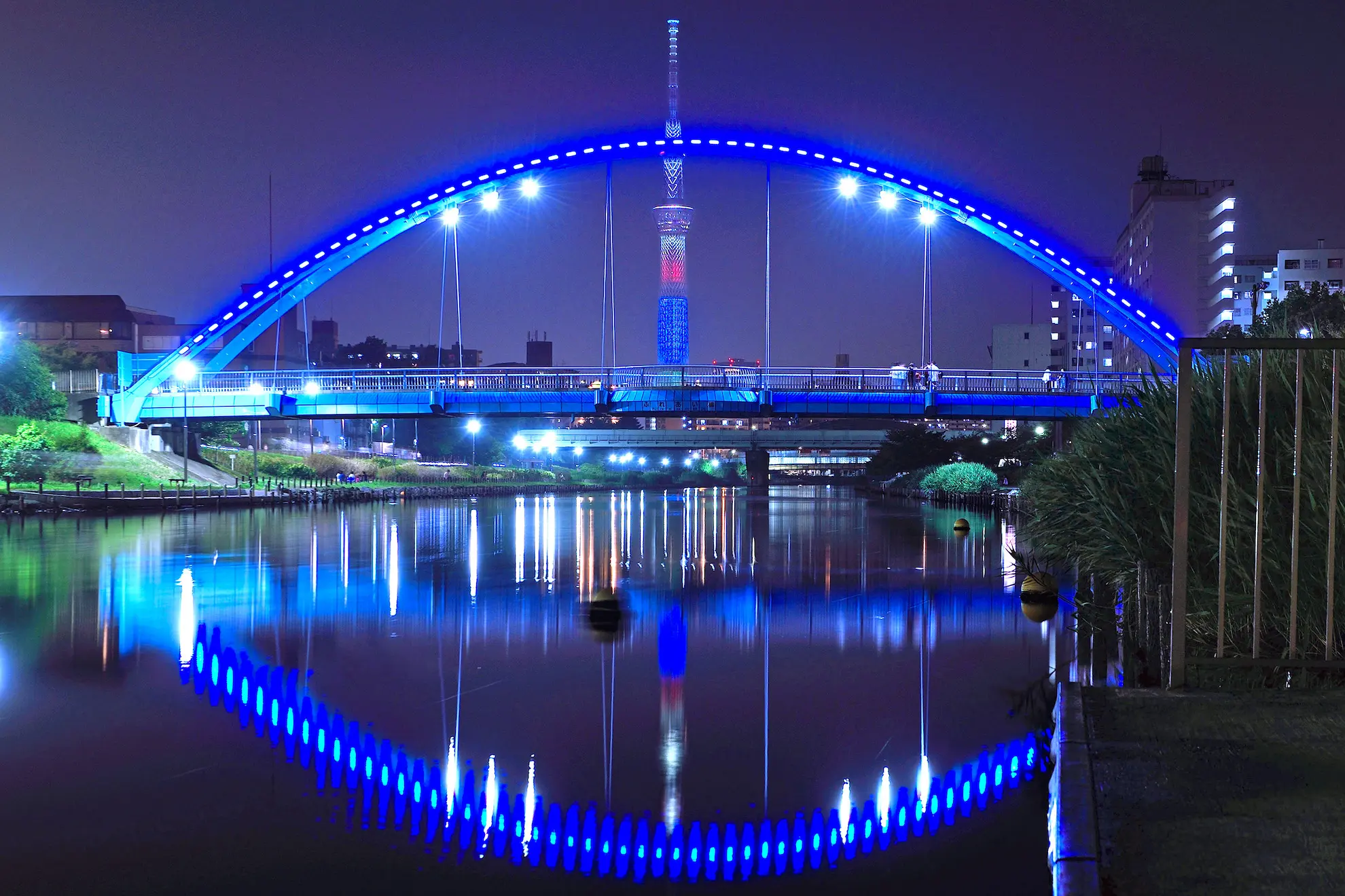 旧中川 ふれあい橋 東京とりっぷ