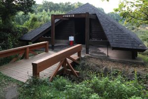 東京港野鳥公園