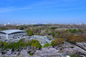 光が丘公園