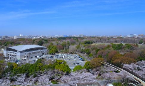 光が丘公園