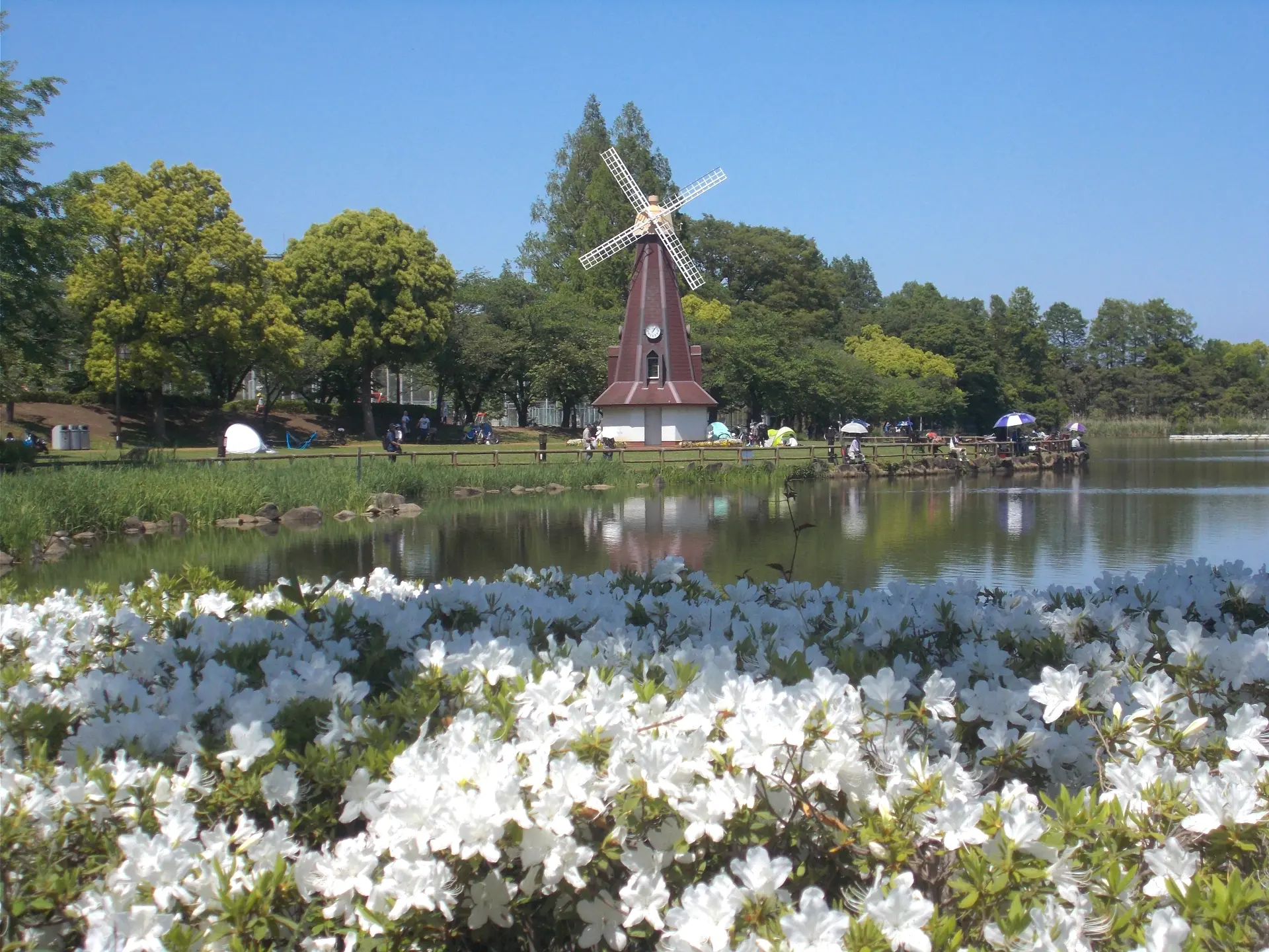 浮間 浮間舟渡｜2023年7月29日｜出没！アド街ック天国：テレビ東京