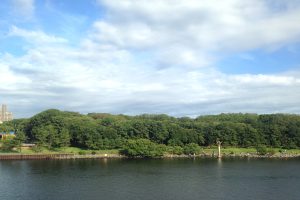 大井ふ頭中央海浜公園