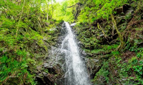 龍神の滝