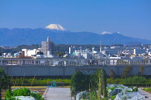 成城富士見橋