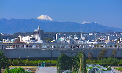 成城富士見橋