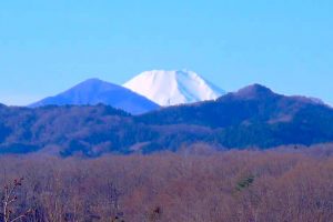 栃谷戸公園